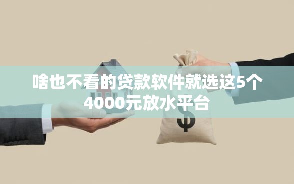 啥也不看的贷款软件就选这5个4000元放水平台