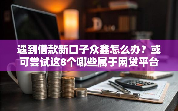遇到借款新口子众鑫怎么办？或可尝试这8个哪些属于网贷平台