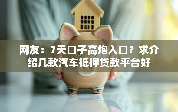 网友：7天口子高炮入口？求介绍几款汽车抵押贷款平台好