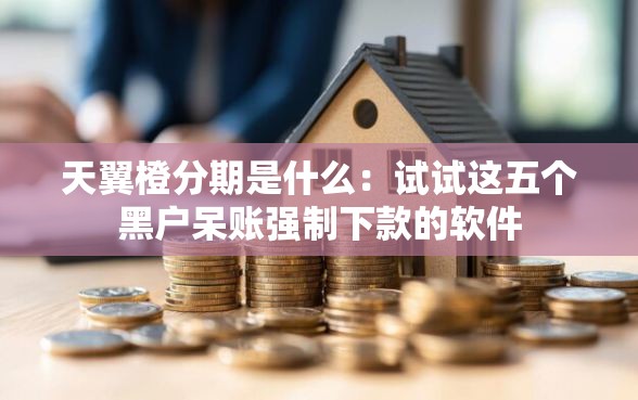天翼橙分期是什么：试试这五个黑户呆账强制下款的软件