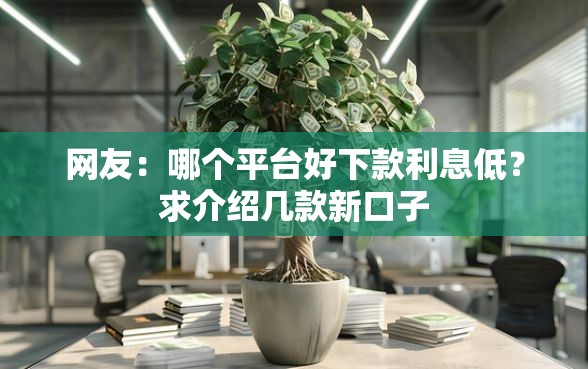 网友：哪个平台好下款利息低？求介绍几款新口子