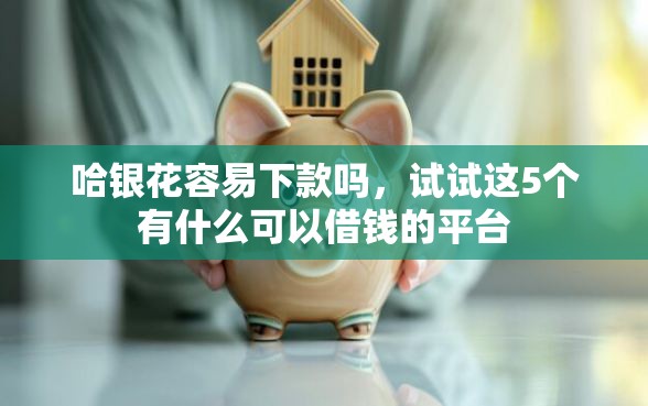 哈银花容易下款吗，试试这5个有什么可以借钱的平台