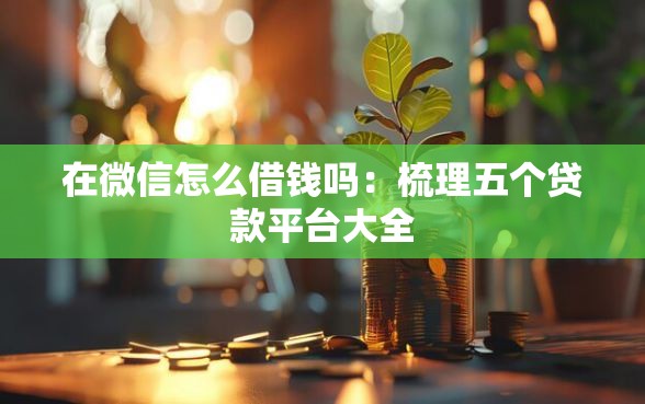 在微信怎么借钱吗：梳理五个贷款平台大全