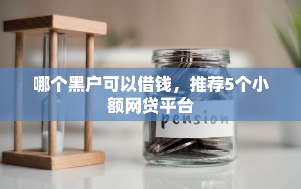 哪个黑户可以借钱，推荐5个小额网贷平台