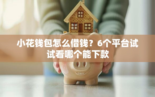 小花钱包怎么借钱？6个平台试试看哪个能下款