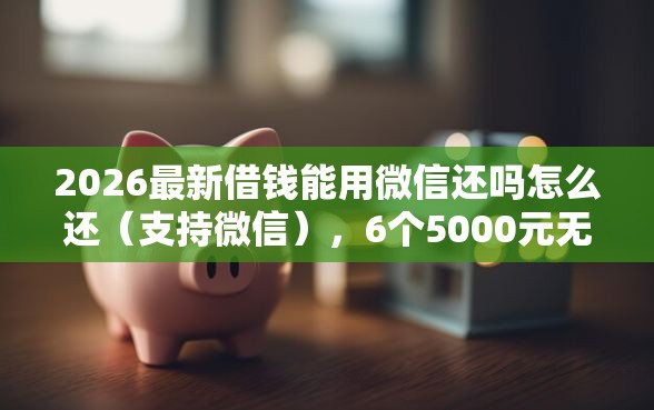 2026最新借钱能用微信还吗怎么还（支持微信），6个5000元无视一切必下款的口子无私分享