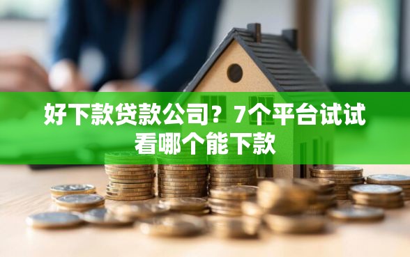 好下款贷款公司？7个平台试试看哪个能下款