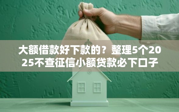 大额借款好下款的？整理5个2025不查征信小额贷款必下口子