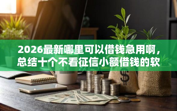 2026最新哪里可以借钱急用啊，总结十个不看征信小额借钱的软件！