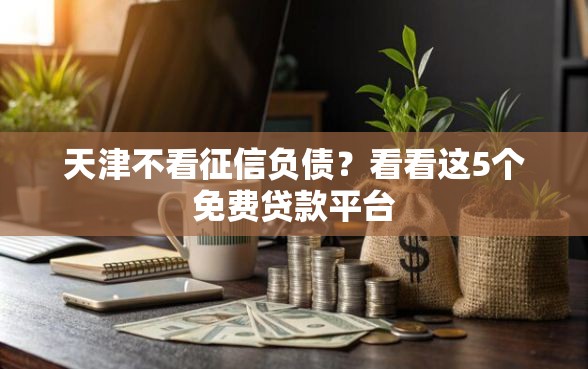 天津不看征信负债？看看这5个免费贷款平台