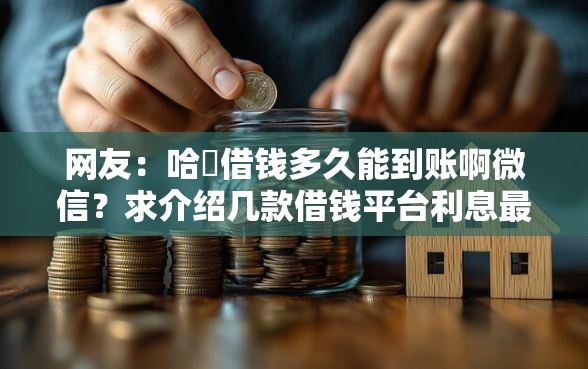 网友：哈啰借钱多久能到账啊微信？求介绍几款借钱平台利息最低