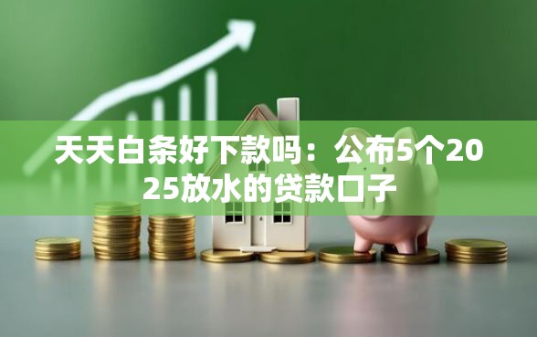 天天白条好下款吗：公布5个2025放水的贷款口子