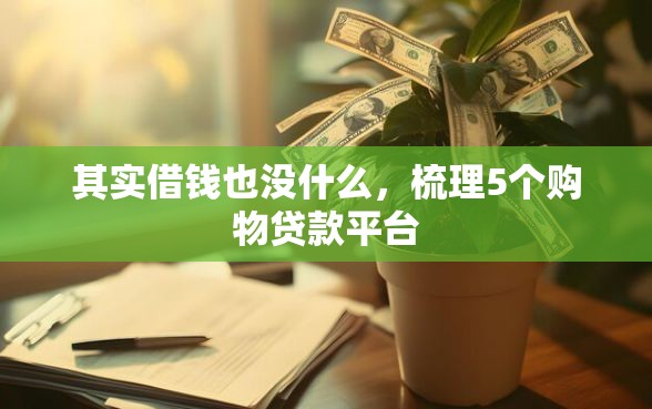 其实借钱也没什么，梳理5个购物贷款平台