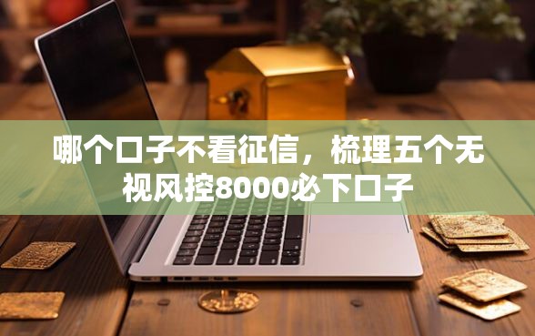 哪个口子不看征信，梳理五个无视风控8000必下口子