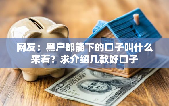 网友：黑户都能下的口子叫什么来着？求介绍几款好口子