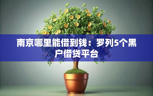 南京哪里能借到钱：罗列5个黑户借贷平台