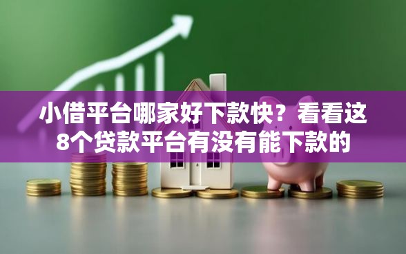 小借平台哪家好下款快？看看这8个贷款平台有没有能下款的