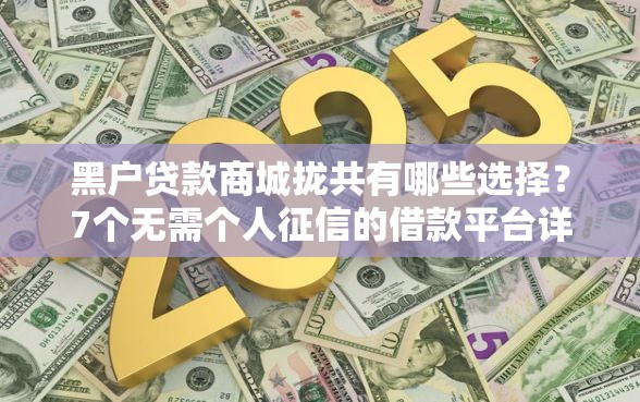 黑户贷款商城拢共有哪些选择？7个无需个人征信的借款平台详解
