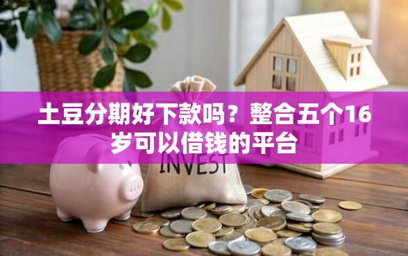 土豆分期好下款吗？整合五个16岁可以借钱的平台