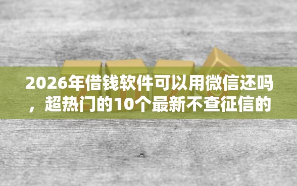 2026年借钱软件可以用微信还吗,超热门的10个最新不查征信的口子推荐 2026年借钱软件可以用微信还吗,超热门的10个最新不查征信的口子推荐