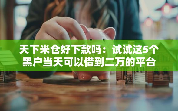 天下米仓好下款吗：试试这5个黑户当天可以借到二万的平台