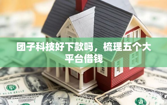 团子科技好下款吗，梳理五个大平台借钱