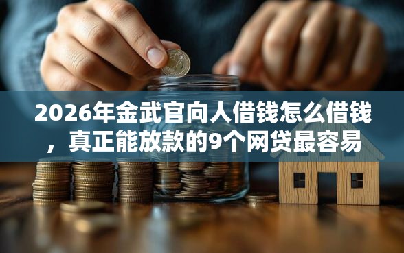 2026年金武官向人借钱怎么借钱，真正能放款的9个网贷最容易通过的平台推荐