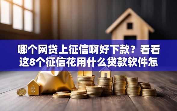 哪个网贷上征信啊好下款？看看这8个征信花用什么贷款软件怎么样