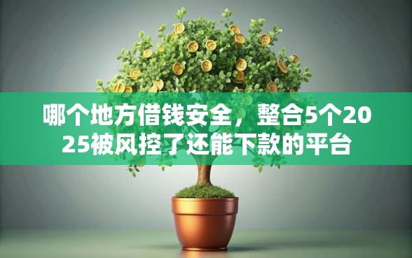 哪个地方借钱安全，整合5个2025被风控了还能下款的平台
