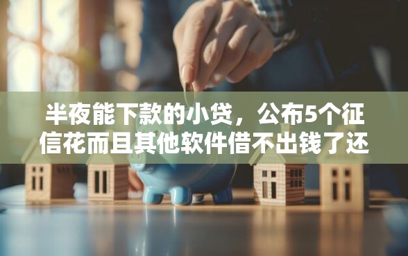 半夜能下款的小贷，公布5个征信花而且其他软件借不出钱了还可以借到钱100%通过的平台