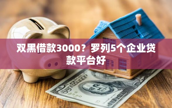 双黑借款3000？罗列5个企业贷款平台好