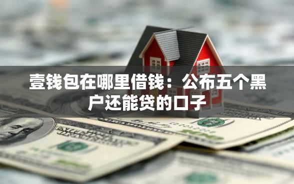 壹钱包在哪里借钱：公布五个黑户还能贷的口子