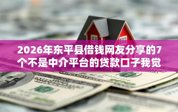 2026年东平县借钱网友分享的7个不是中介平台的贷款口子我觉得不错！