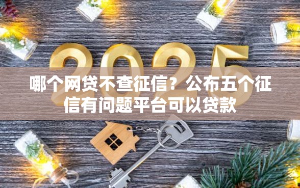 哪个网贷不查征信？公布五个征信有问题平台可以贷款