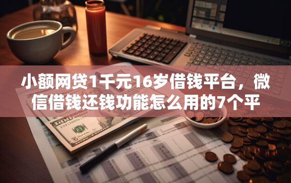 小额网贷1千元16岁借钱平台，微信借钱还钱功能怎么用的7个平台介绍