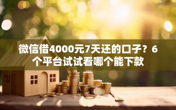 微信借4000元7天还的口子？6个平台试试看哪个能下款