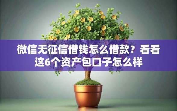 微信无征信借钱怎么借款?看看这6个资产包口子怎么样 微信无征信借钱怎么借款?看看这6个资产包口子怎么样