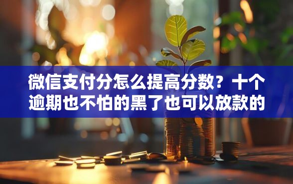 微信支付分怎么提高分数？十个逾期也不怕的黑了也可以放款的平台