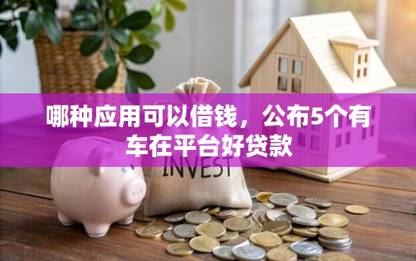 哪种应用可以借钱，公布5个有车在平台好贷款