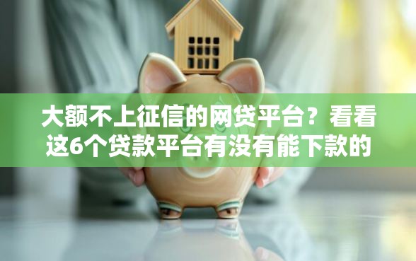 大额不上征信的网贷平台？看看这6个贷款平台有没有能下款的