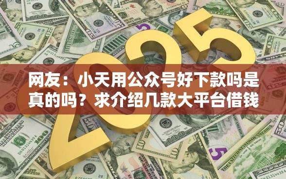 网友：小天用公众号好下款吗是真的吗？求介绍几款大平台借钱