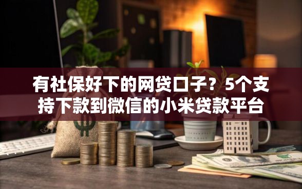 有社保好下的网贷口子？5个支持下款到微信的小米贷款平台
