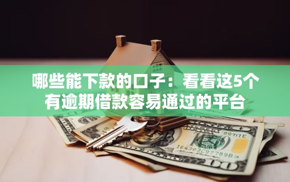 哪些能下款的口子：看看这5个有逾期借款容易通过的平台