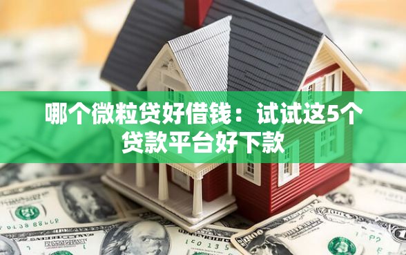 哪个微粒贷好借钱：试试这5个贷款平台好下款
