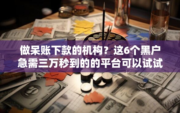 做呆账下款的机构？这6个黑户急需三万秒到的的平台可以试试