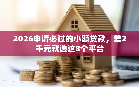 2026申请必过的小额贷款，差2千元就选这8个平台