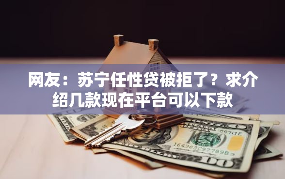 网友：苏宁任性贷被拒了？求介绍几款现在平台可以下款