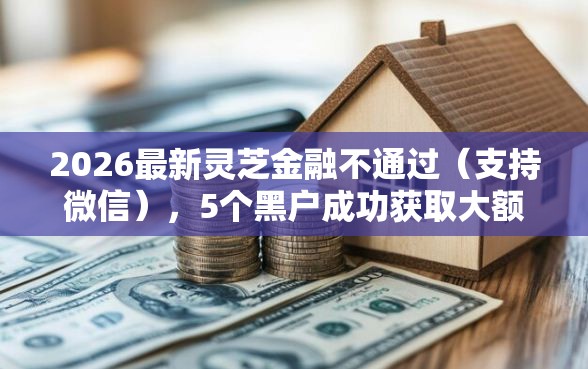 2026最新灵芝金融不通过（支持微信），5个黑户成功获取大额贷款的平台无私分享