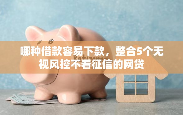 哪种借款容易下款，整合5个无视风控不看征信的网贷
