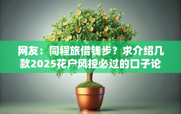 网友：同程旅借钱步？求介绍几款2025花户风控必过的口子论坛
